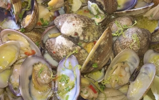 Vongole schells in white wine